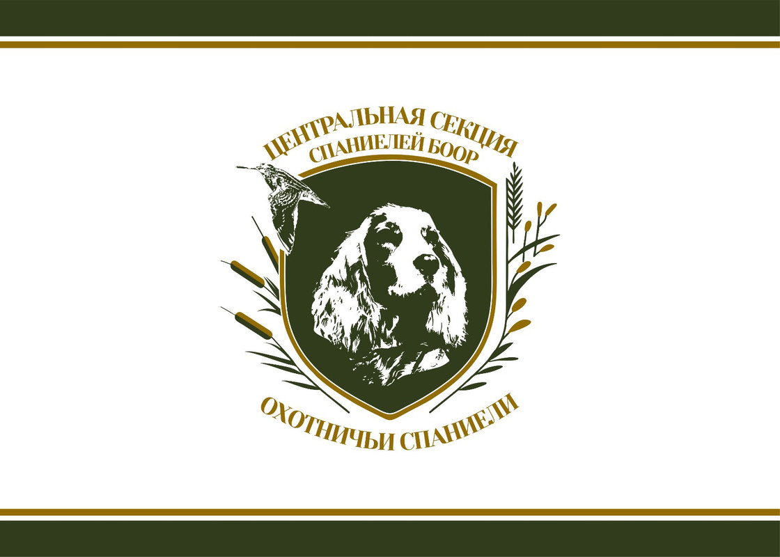 изображение_viber_2024-12-11_09-19-27-560