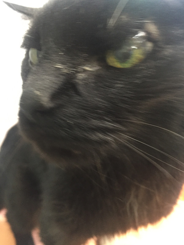 64318788-5285-4A17-951A-870637957098