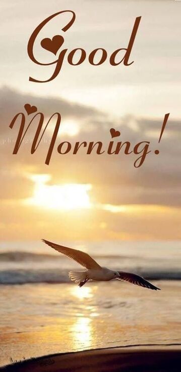 goodmorning