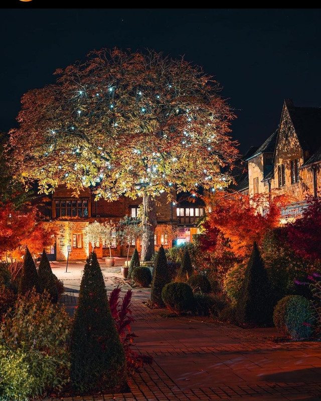 Screenshot_20231127_171223_Instagram