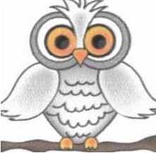 Little Owls logo