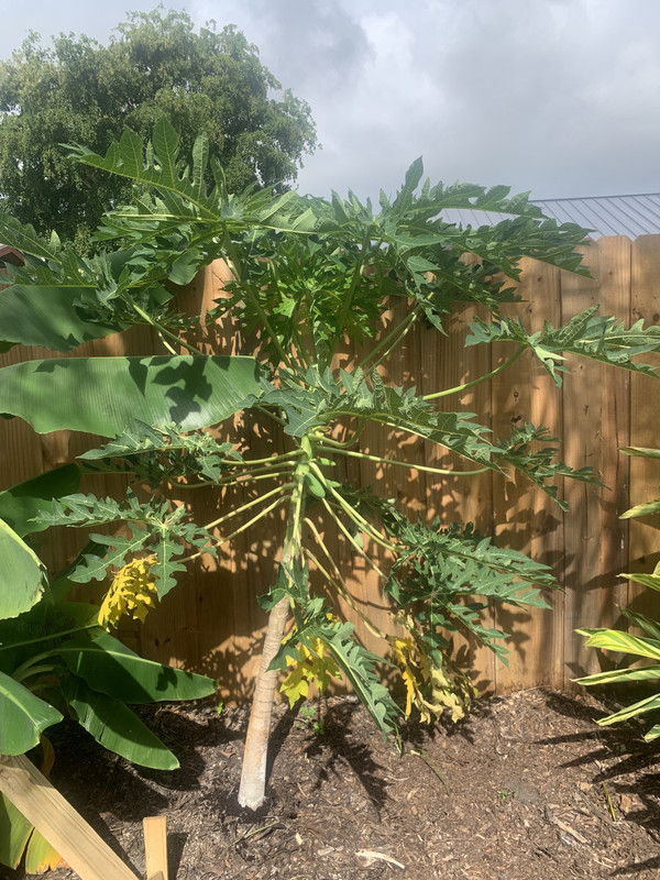 56BB7883-8D2F-4028-9851-417077C2FD99