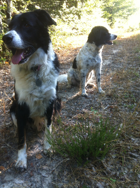 108D6EC0-ECFC-48DA-B9B9-C5A5160E5446