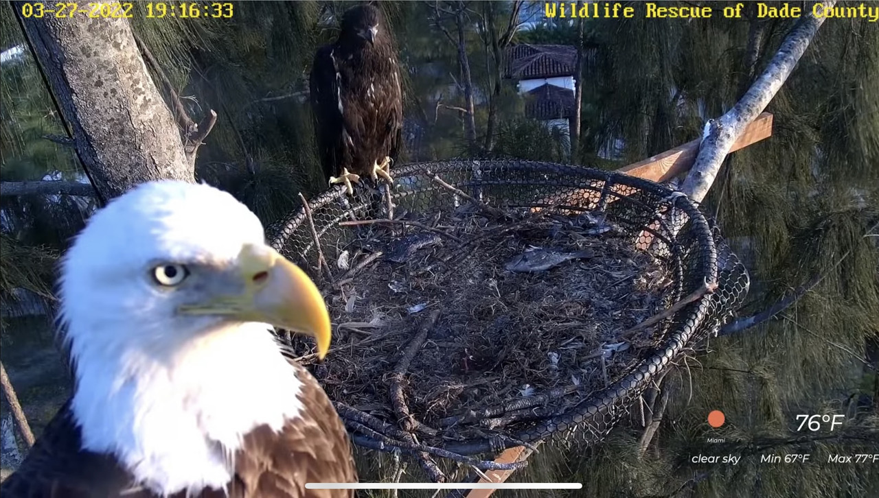 337664BE-9309-4038-8555-DFA7838202AB