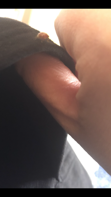 8830E4FD-CD30-4707-AE37-E778190B593A