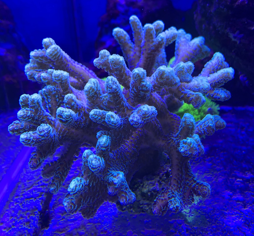 ECB7A267-867A-472A-B541-9123C39AA40F