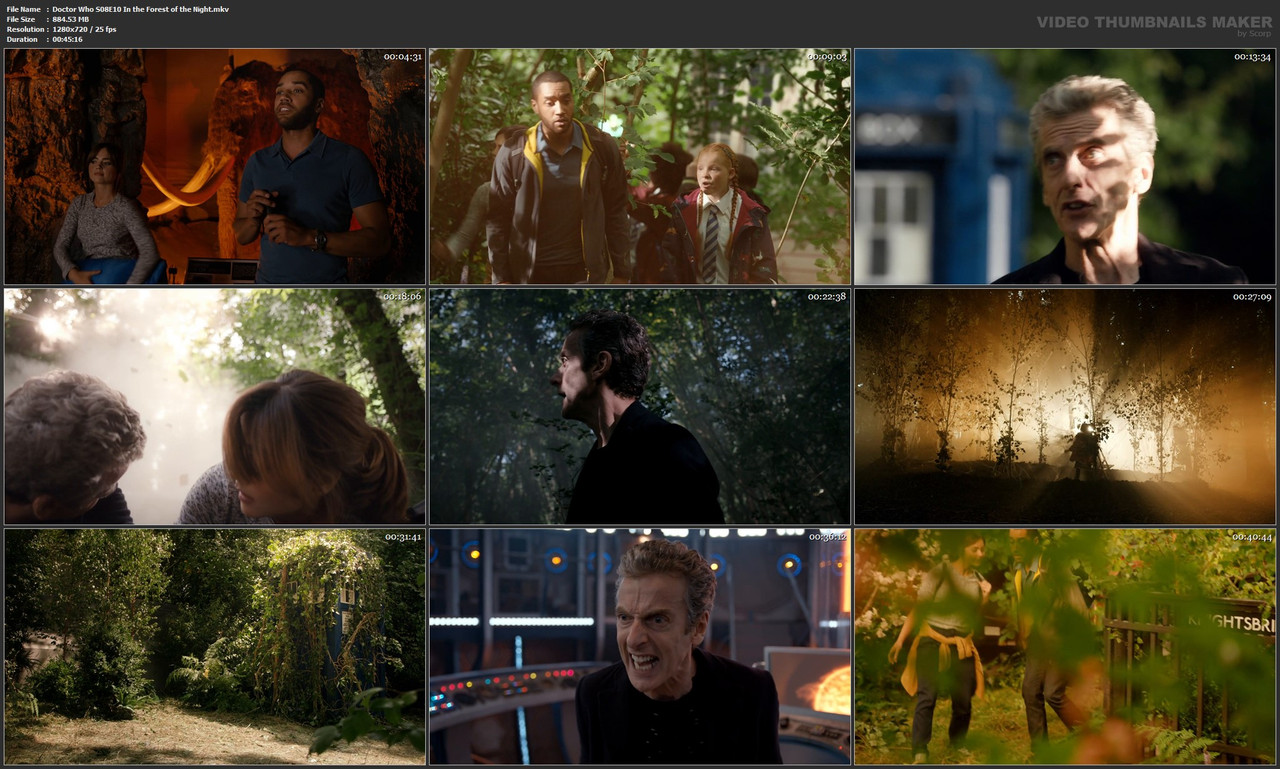 Doctor Who S08E10 In the Forest of the Night.mkv