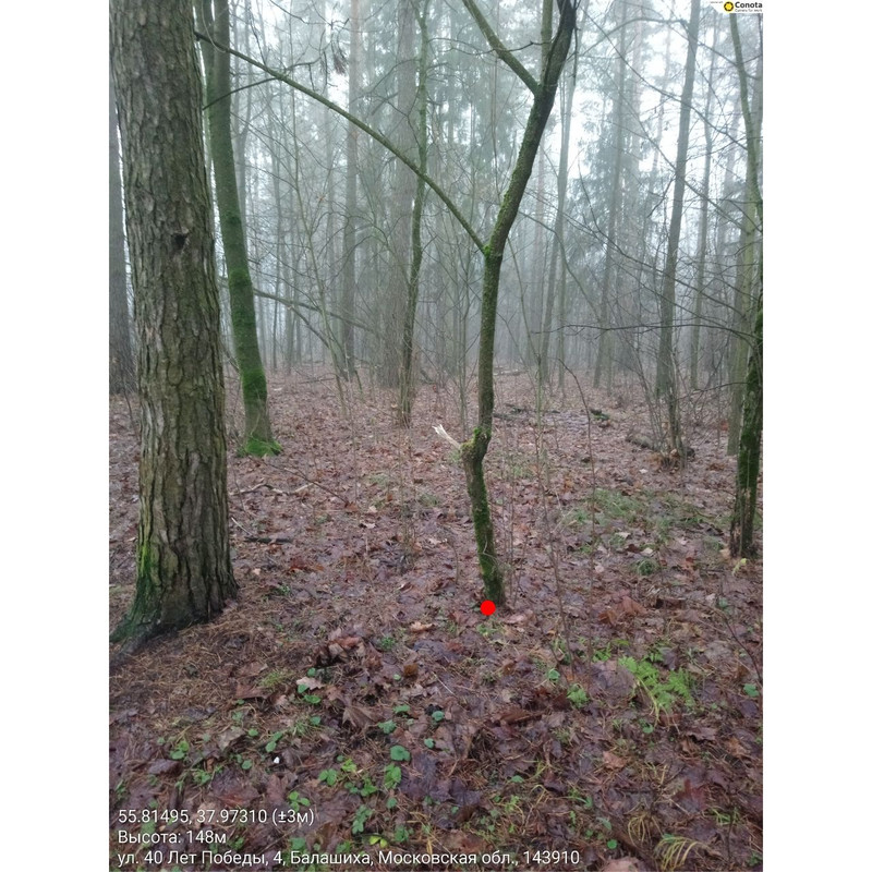 20251203 1549283637086129738232830