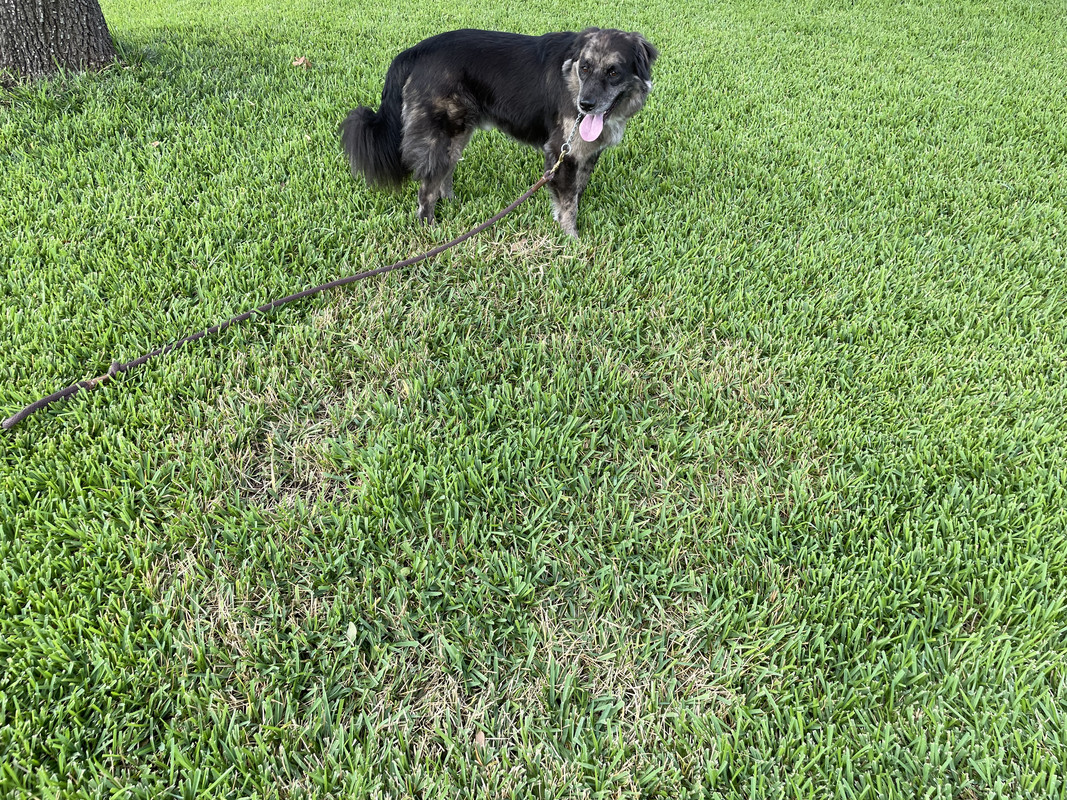 559C1E7B-3E8D-42B8-ABFF-AFE9F55B3426