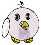 IMG-1651.jpg