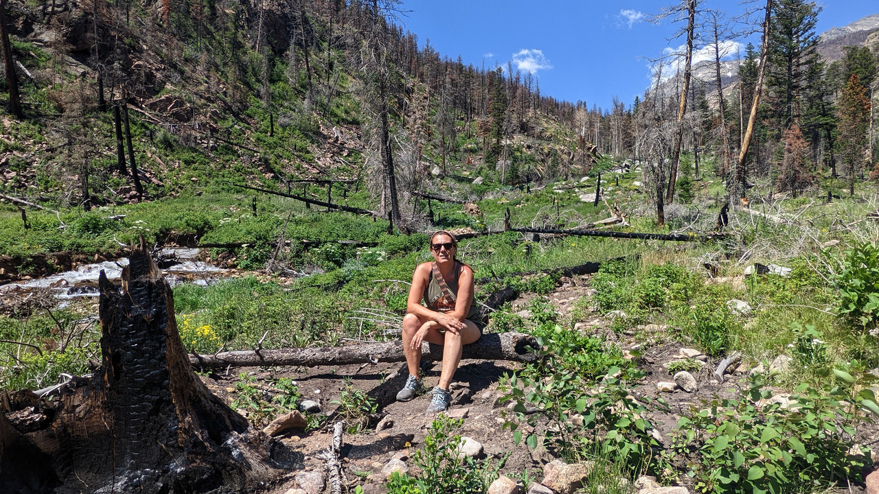 En ruta por Colorado (2022) - Blogs de USA - Parque Nacional de las Rockies (43)