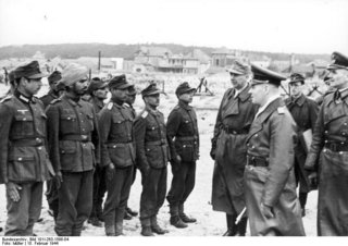 3-B2xc-zps4mhpxpgg.jpg