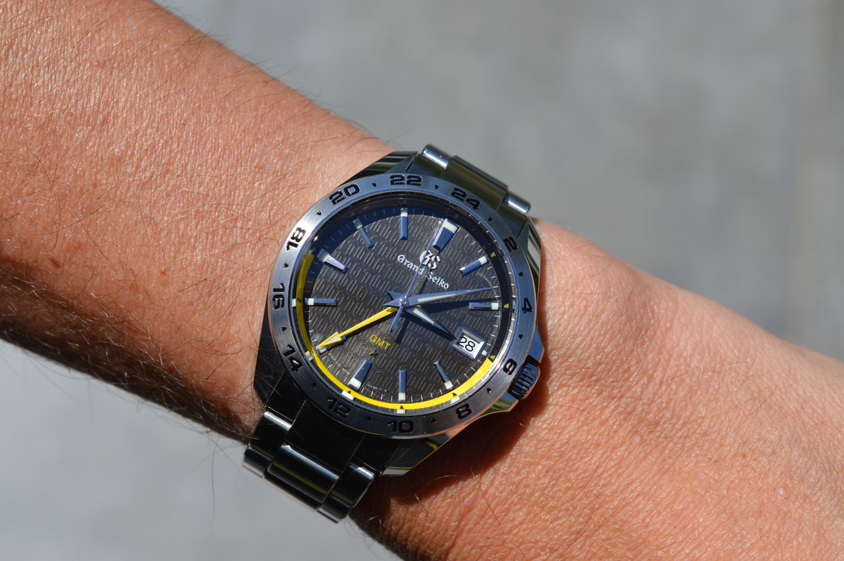 Feu de vos Dual Time - GMT - Worldtimer - Page 43 DSC-0097