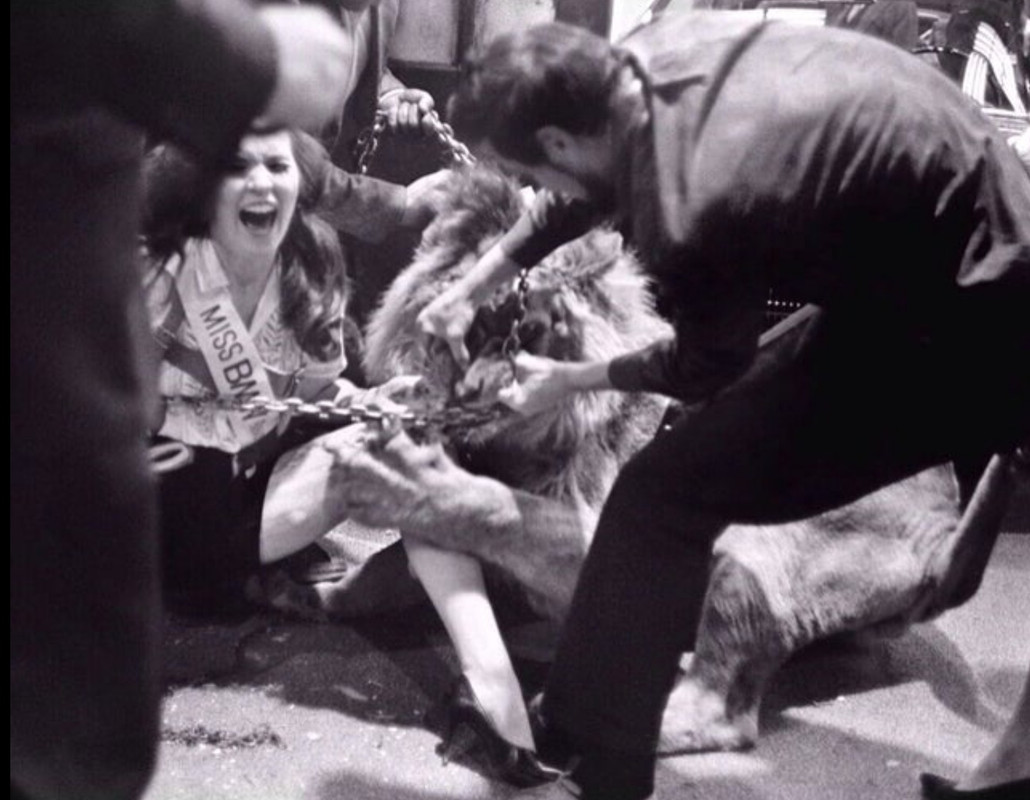 D2302196-AE36-4C99-BC4C-1809119ECB3F