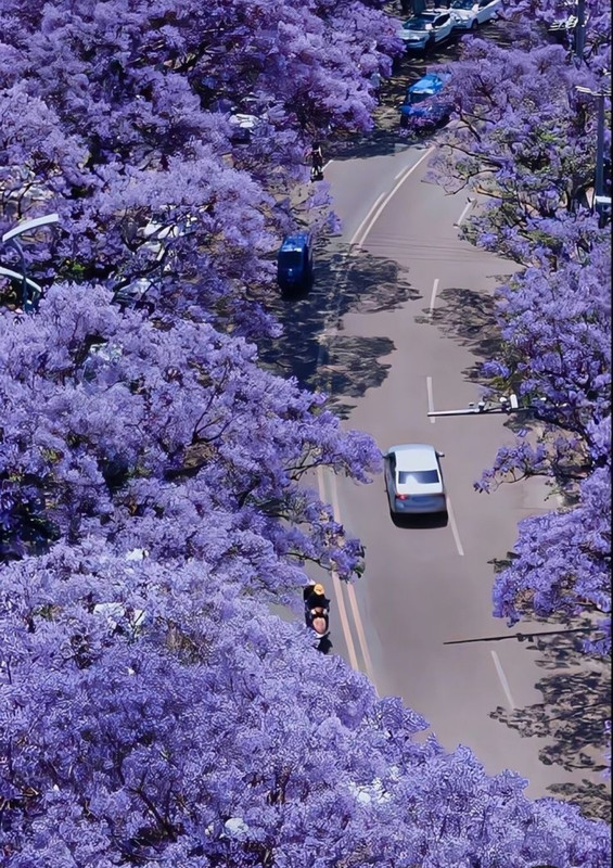 Screenshot_20240424_221129_Pinterest