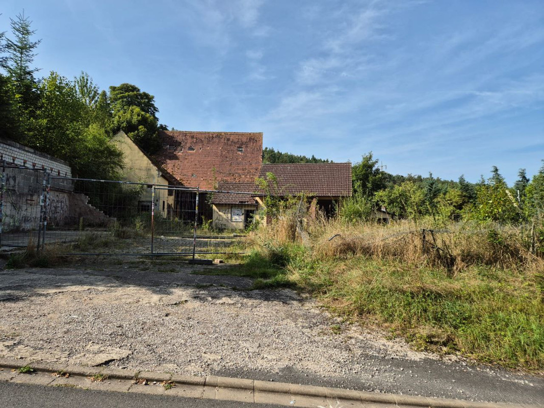 photo_5355242108765725191_y