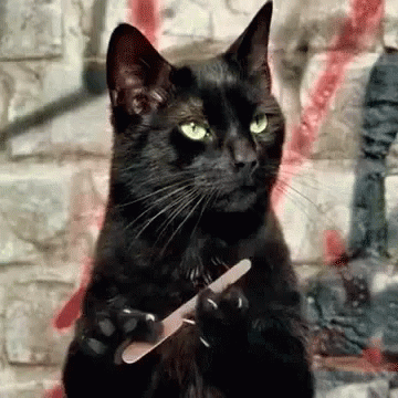 94-BFD4-B9-8-CD8-45-CC-A30-D-E119754-A85-EF.gif