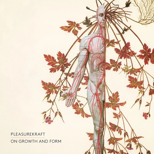 Pleasurekraft - On Growth and Form (2024) FLAC