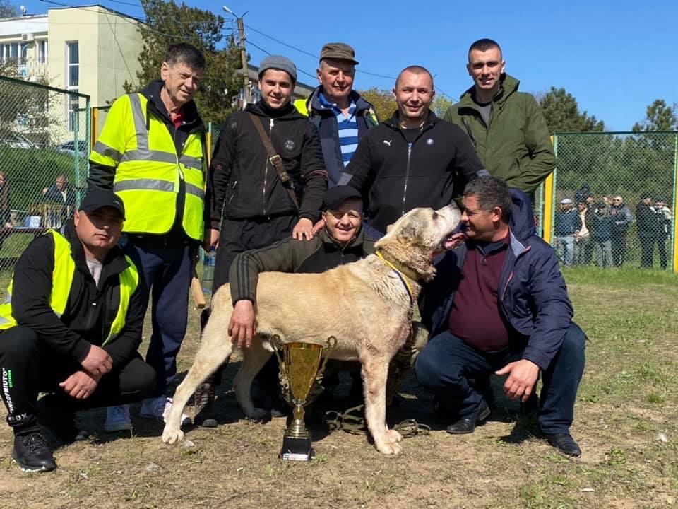 0D2B072A-B65E-4E52-8A28-4CC4D3841ACA