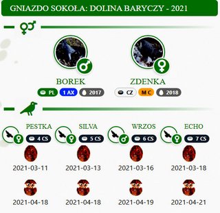 DOLINA BARYCZY. Male 1 AX (2017 - PL) Female M C (2018 - CZ) - Pagina 3 Przechwytywanie-w-trybie-pe-noekranowym-15-05-2021-083217