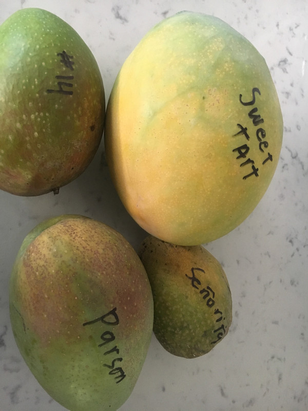 1DF9181C-587D-4C10-83A7-3FA47AFB3630