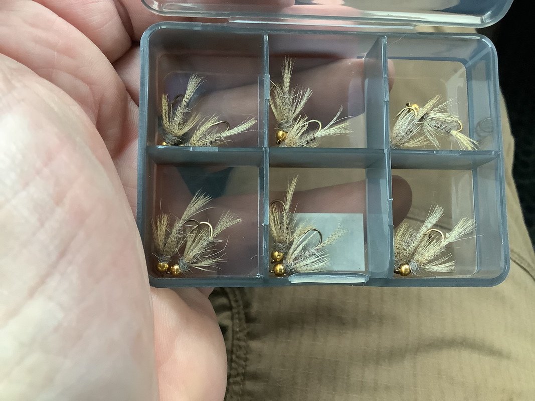 F155FEFE-67CD-4A7B-A73C-CC621FE81BA4