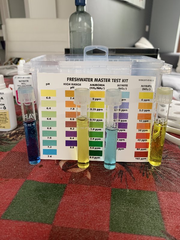 C0745D24-5275-478A-BB22-797F065E46D1