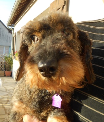 [Image: DSCN3677.jpg]