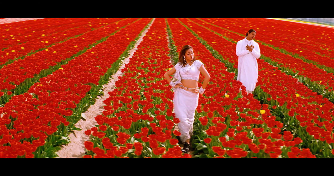 VideoCapture_20241122-195234