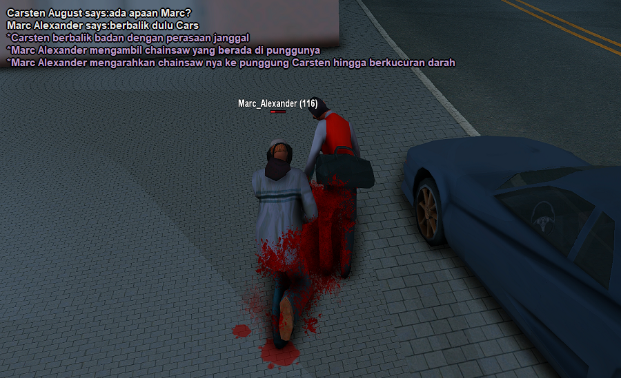 ss13.png