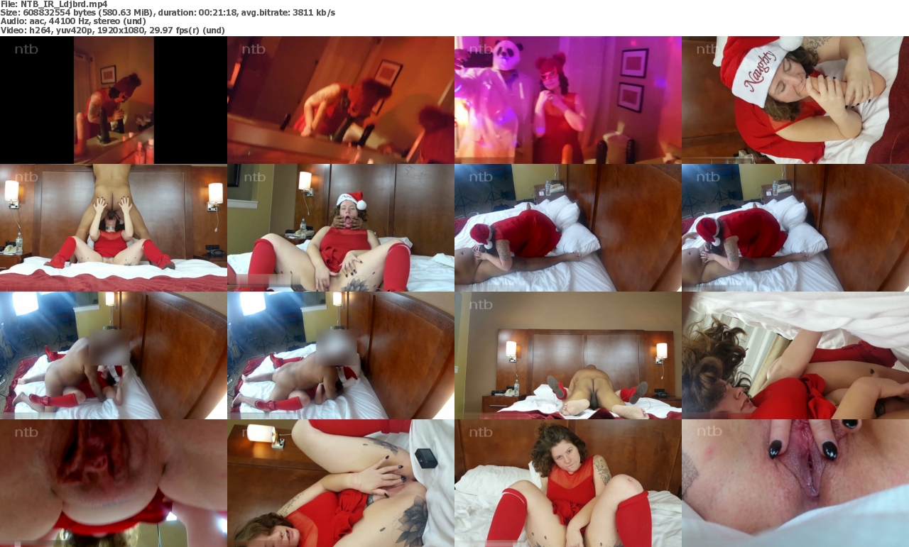 03042024084044screenshot