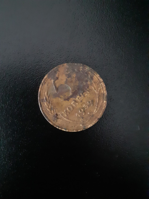 20210808_171723 – kopio