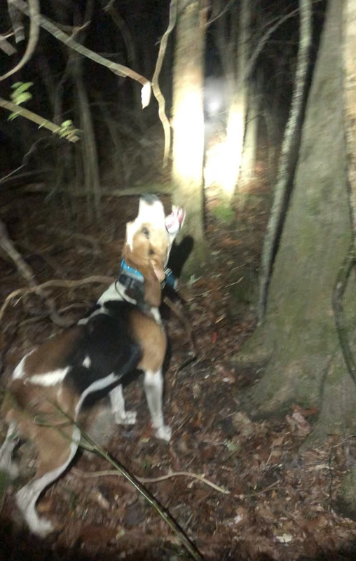 070EA712-A9B8-4EAA-9C1D-6779B232B0A2