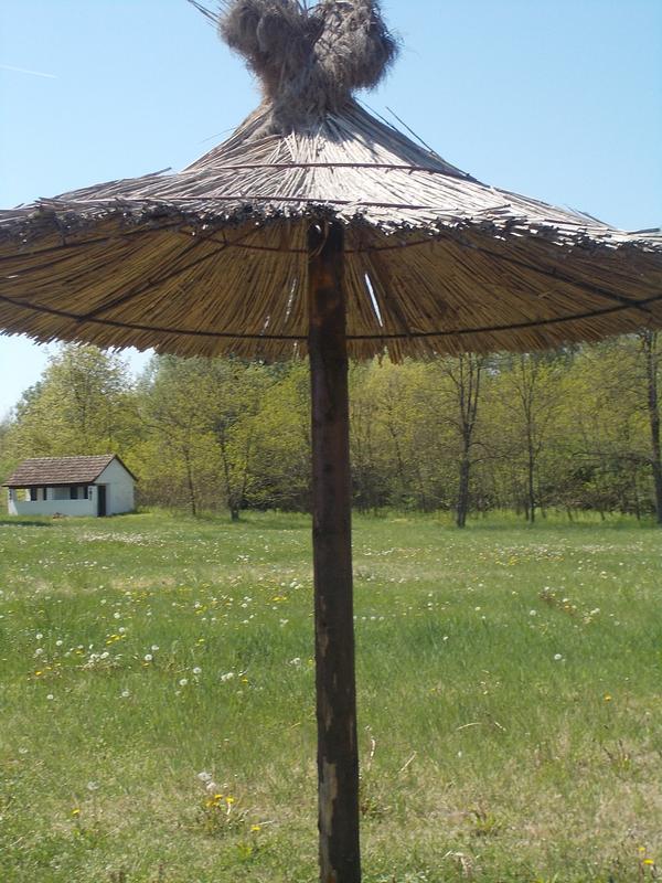 Slika