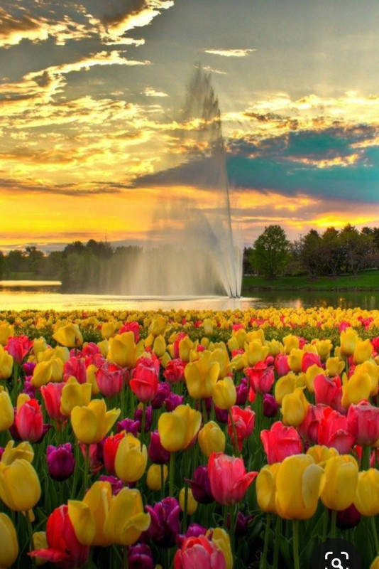 Screenshot_20231017_215223_Pinterest