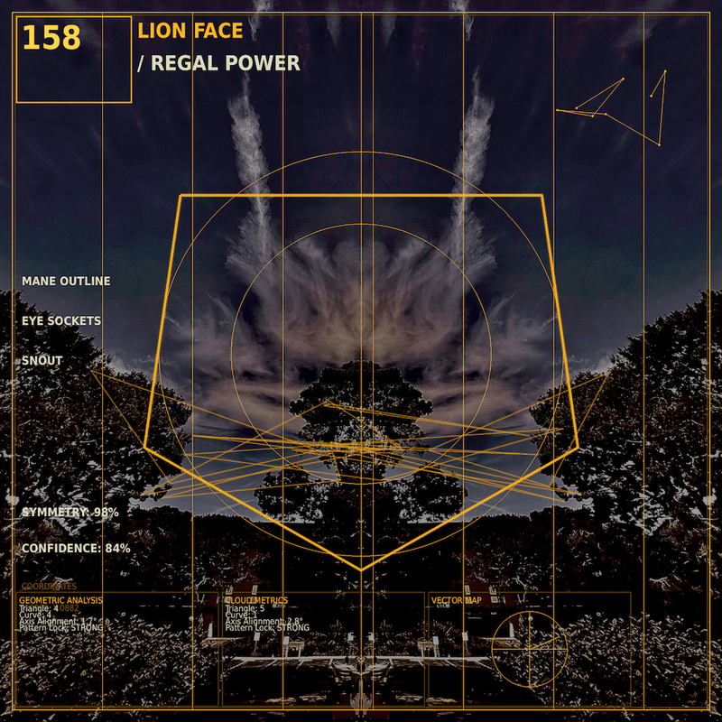 Lion face`