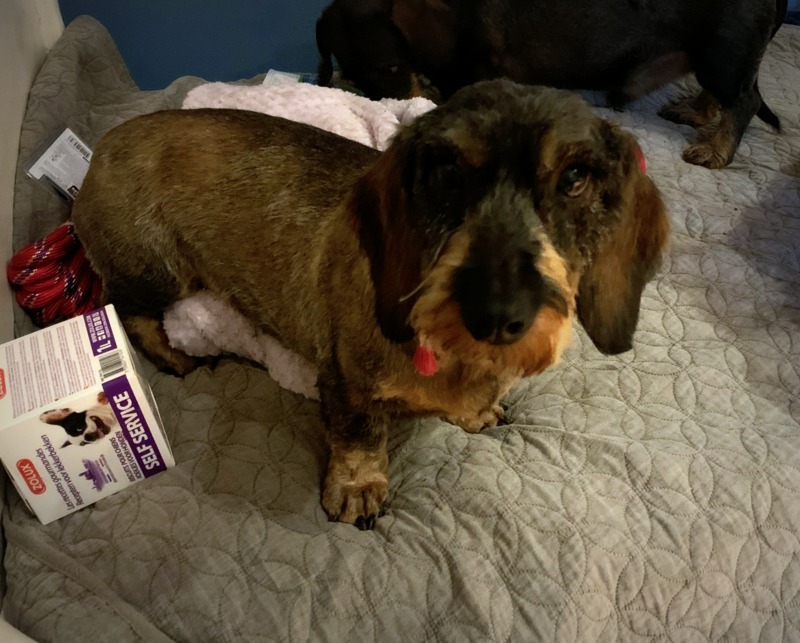 [Image: IMG-0392.jpg]