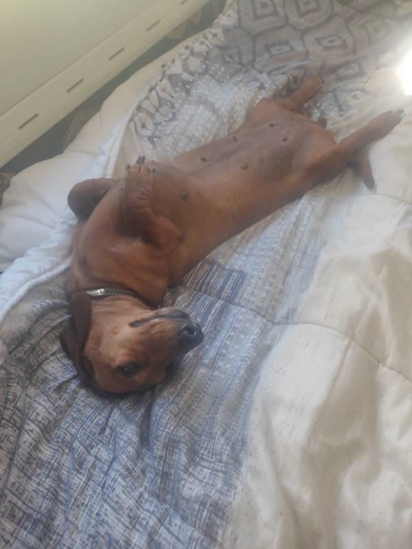 [Image: IMG-20240705-140754.jpg]