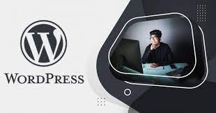 Advanced Wordpress Course for Professionals