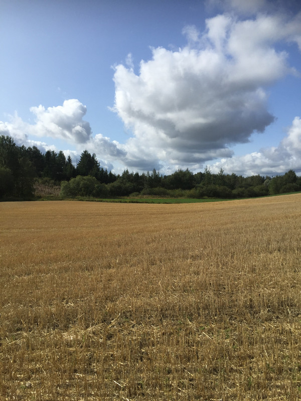 F51ABF75-A7EA-4AC2-9F6F-B61DACB8976E