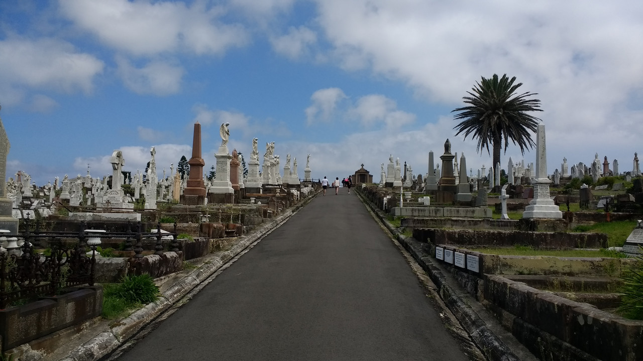 AUSTRALIA , "QUE GRAN PAIS" - Blogs de Australia - SYDNEY / FEBRERO 2017 (13)