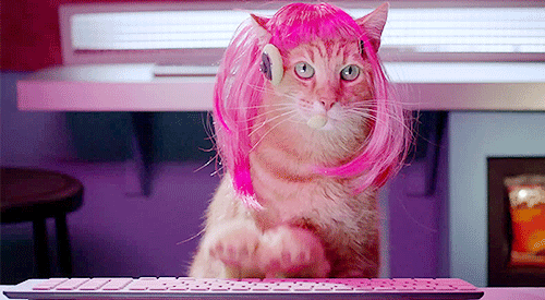 Pinky-Cat-Gif-Animation.gif