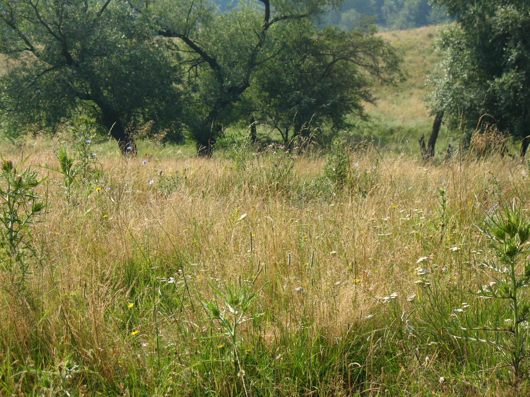 ADP System - Zelezniza 2009 (30)