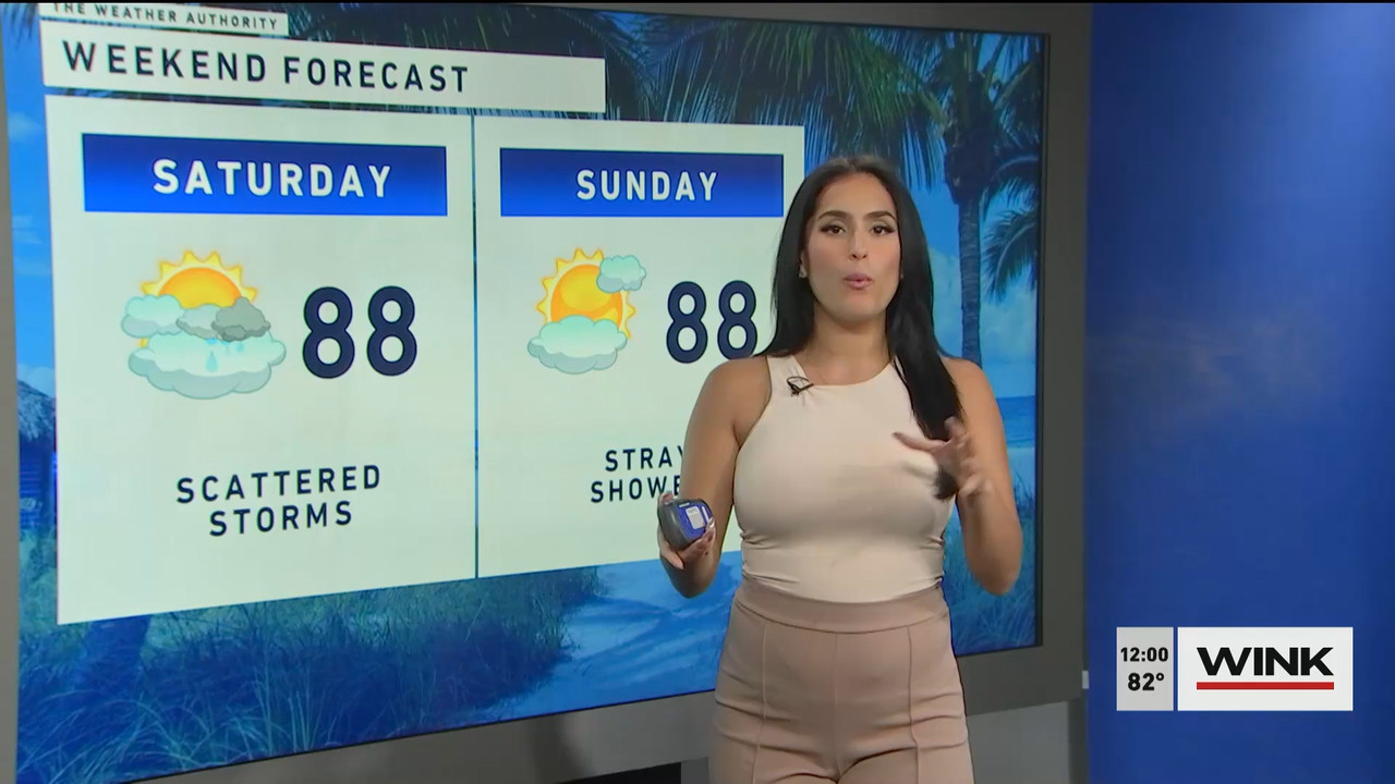 10.14 - 17.00.00 - The WINK Noon News  ᴺᵉʷ. Midday news update..ts_snapshot_07.12.421