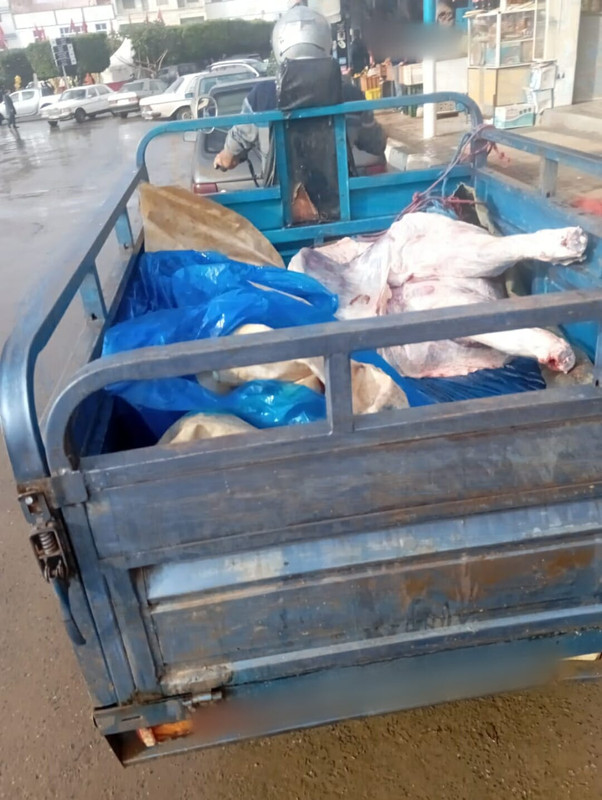 582074671-1186959940194333-8438689005609422249-n