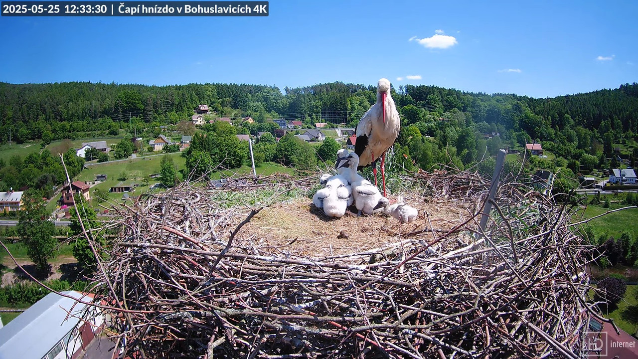 Tiešraide no KARA uzņēmuma stārķu skursteņa Bohuslavicē netālu no Trutnovas 9-24-34 screenshot