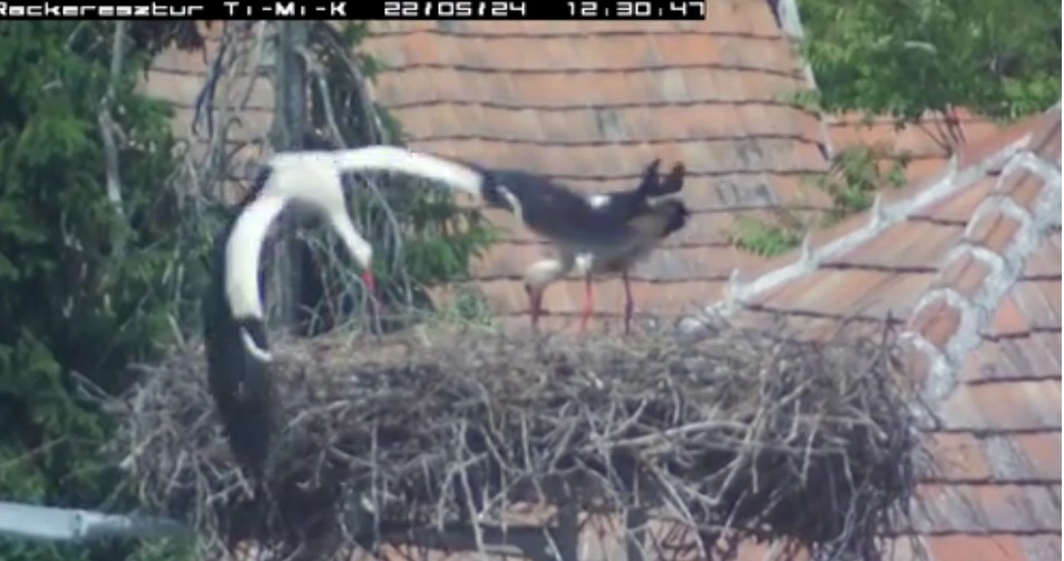 2022-05-24_123653és elhuss