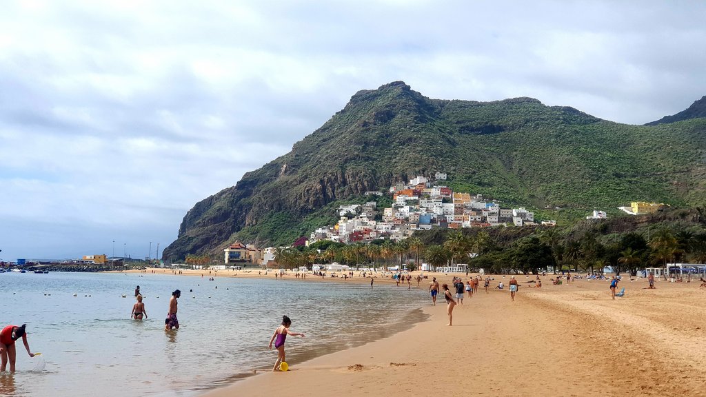 Tenerife: hay turismo más allá de El Teide - Blogs de España - PLAYA DE LAS TERESITAS- PLAYA DE LAS GAVIOTAS- REGRESO A CASA (2)