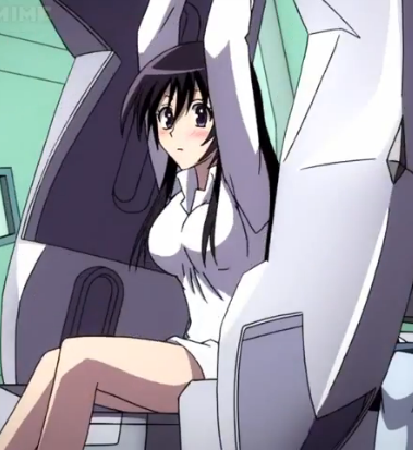 daimidaler11