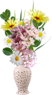 0-d8025-2224e762-orig.png